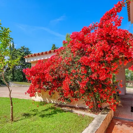 Villa Li Cuponi